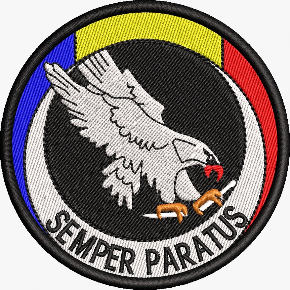 ECUSON / EMBLEMA - DETASAMENTUL SEMPER PARATUS / 1